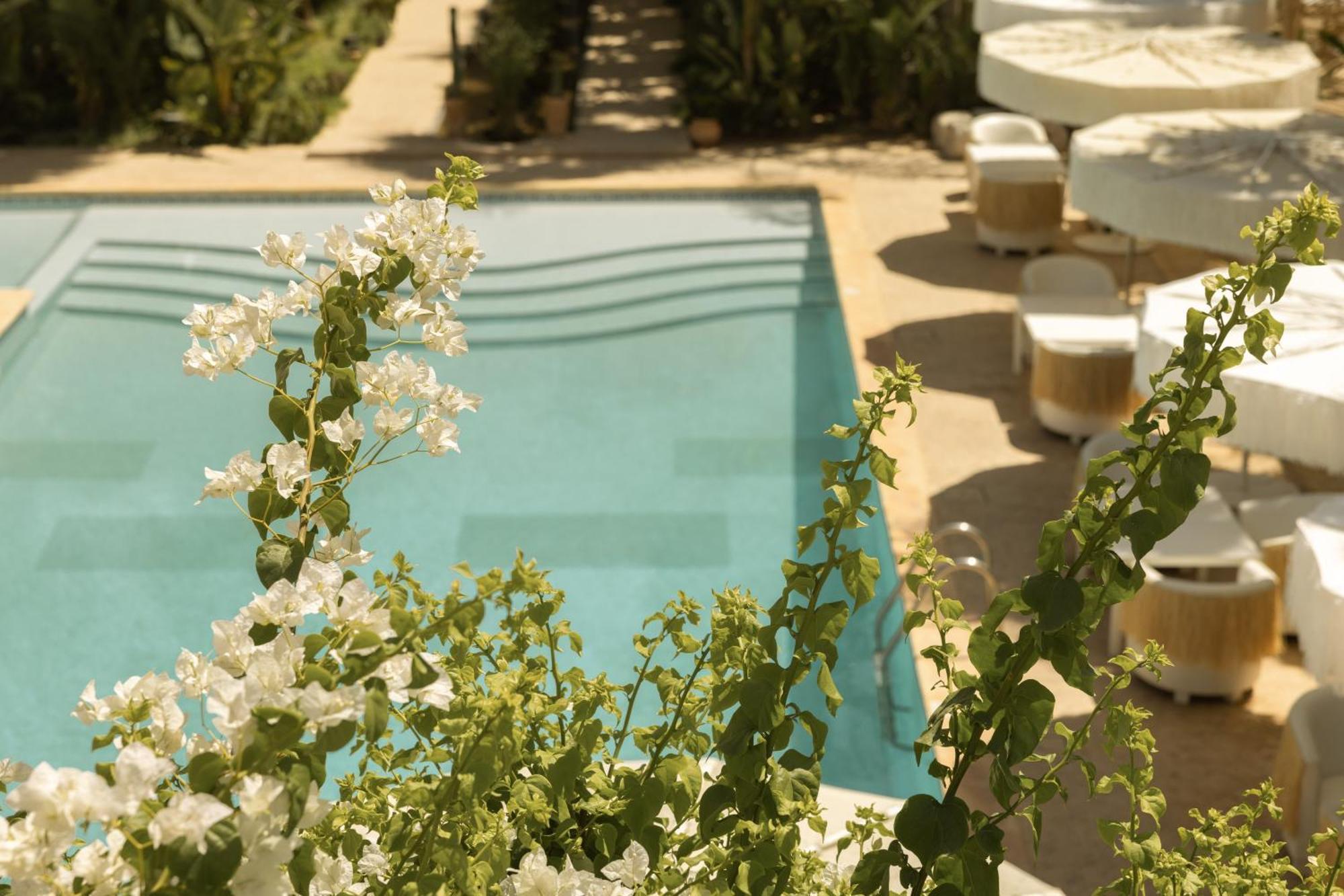 Les Palmiers Boutique Hotel & Spa Марракеш Экстерьер фото